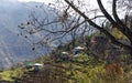 View of a Himalayan village on slop of mountain