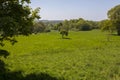 Battle of Hastings Battlefield East Sussex