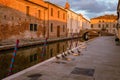 Ponte degli sbirri with ducks in the foreground in Comacchio Royalty Free Stock Photo