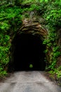 Nada Tunnel - Red River Gorge Geological Area - Appalachian Mountains - Kentucky Royalty Free Stock Photo