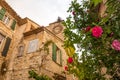 View of historical house and wild roses in LeCrested village Royalty Free Stock Photo