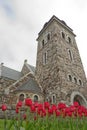 View of a historical stone church in Alesund Norway with red tulips in the foreground Royalty Free Stock Photo