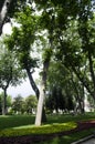 View of historical urban Gulhane Park in the Eminonu district of Istanbul. Turkey. Royalty Free Stock Photo