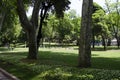 View of historical urban Gulhane Park in the Eminonu district of Istanbul. Turkey. Royalty Free Stock Photo