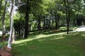 View of historical urban Gulhane Park in the Eminonu district of Istanbul. Turkey. Royalty Free Stock Photo