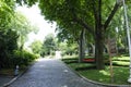 View of historical urban Gulhane Park in the Eminonu district of Istanbul. Turkey. Royalty Free Stock Photo