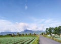 a view of a horticultural farm near a small village, and a blue sky Royalty Free Stock Photo