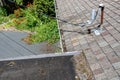 View from house rooftop of roof shingles, gutters, tree debris, moss, utility lines, driveway and garden