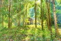 View of house among tropical jungle forest Royalty Free Stock Photo