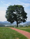 View of the Hudson River from the grounds of Boscobel Royalty Free Stock Photo