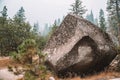 View of a huge rock in the middle of Yosemite National Park on a misty sky background