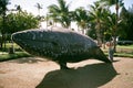 View of a or Blue Whale statue at Maui park Hawaii