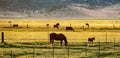 View of The Hunewill Ranch Near Bridgeport, California in late spring