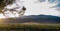 View of The Hunewill Ranch Near Bridgeport, California in late spring