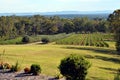 View on a Hunter Valley hills, Australia, New South Wales Royalty Free Stock Photo