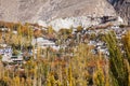 View of hunza in autumn season