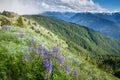 The view from Huricane Ridge, Washington