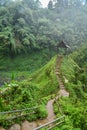 View of Hut Above Tad Yuang Waterfall in the Bolaven Plateau Royalty Free Stock Photo