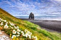 View of Hvitserkur unique basalt rock in Iceland