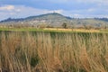 Glastonbury Tor From The Banks Of The River Brue, Somerset, England. Royalty Free Stock Photo