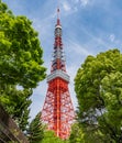 Iconic Tokyo Tower, Tokyo, Japan Royalty Free Stock Photo