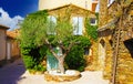 View on idyllic front yard with one green olive tree, typical french mediterranean natural stone house covered with ivy in bright Royalty Free Stock Photo