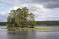 View of an idyllic lake with a small island in a Swedish forest Royalty Free Stock Photo