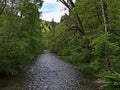 View of Wutach Gorge, a popular tourist destination in Black Forest, Germany with flowing river surrounded by thick forest. Royalty Free Stock Photo