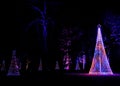 View of illuminated cone-shaped Christmas trees at Blenheim Lights Trail