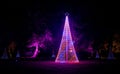 View of illuminated cone-shaped Christmas trees at Blenheim Lights Trail