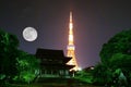 View of illuminated Tokyo Tower & Japanese Shrine