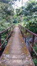 Beautiful view of indian village bridge.