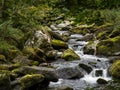 East Lyn River, Lynmouth, Exmoor, Devon, England. Royalty Free Stock Photo