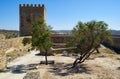 The view of inner courtyard of the Mertola Castle. Mertola. Port