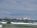 Farne Islands - Inner Farne Royalty Free Stock Photo