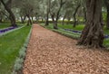 A view from inside the Bahai gardens and temple on the slopes of the Carmel Mountain, Haifa city Royalty Free Stock Photo