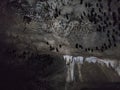 View inside Bat cave with hanging bats and stalactite formation in Kilim Karst Geoforest Park, Langkawi, Kedah, Malaysia. Royalty Free Stock Photo