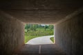 View from inside a bike path tunnel of green pastures and trees beyond Royalty Free Stock Photo