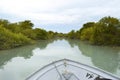 View from inside the boat while visiting the strange and beautiful mangrove forests. Royalty Free Stock Photo