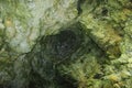 View inside the Cape Atlesh grotto. Western Crimea