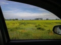 Looking through the window a car windshield with view of the green grass is blown by the wind on white and blue sky in Royalty Free Stock Photo