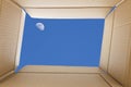 View from inside a cardboard box. Full-moon in the sky outside t Royalty Free Stock Photo