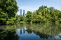 View from inside Central Park