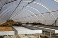 Horticultural Polytunnel on a sunny day Royalty Free Stock Photo