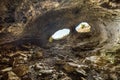 View from inside iron ore mine at Farinole in Corsica