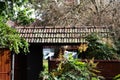 View from inside on japanese garden in Kyoto Royalty Free Stock Photo