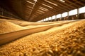 View inside a large drain corn and grain storage warehouse.