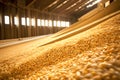 View inside a large drain corn and grain storage warehouse.