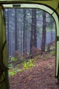 View from inside tourist tent. View through the entrance to the tourist tent on a forest slope with trees and morning fog