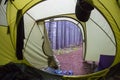 View from inside tourist tent. View through the entrance to the tourist tent on a forest slope with trees and morning fog